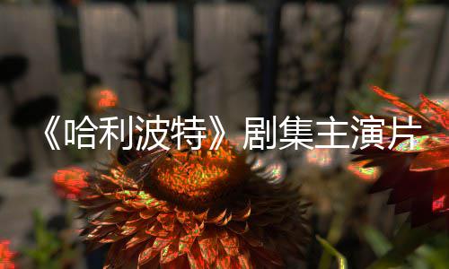 百万片酬曝光特剧集就成主演哈二季第富翁利波