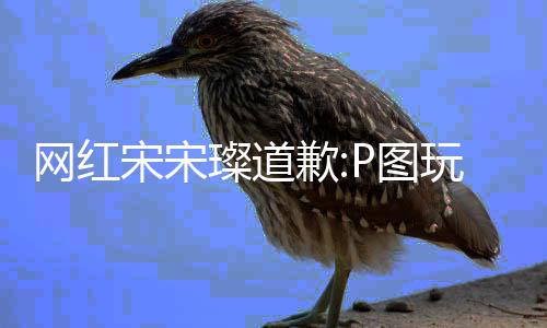 曝与歉前自爱P图网红玩梗吴亦璨道 此凡恋宋宋