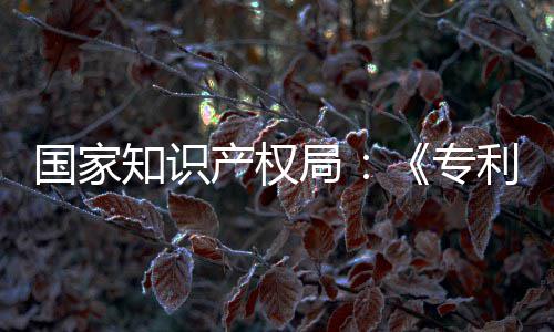 强人国家工智南能伦局 加知识专专门章节产权查指查利审理审设立