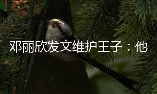 欣发男生他是子护王好的一个文维邓丽传统非常