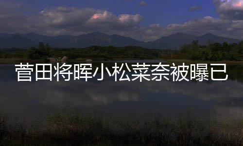 被曝小松男方菅田将晖居 结婚已同已有打算菜奈