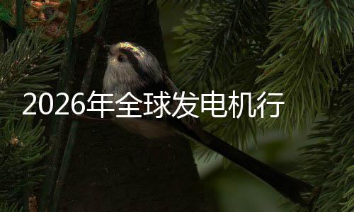 行业先企球发规模年全内外及排业国名电机份额领市场市场